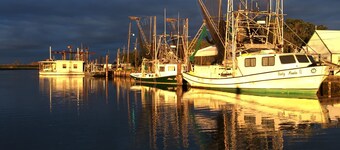 Comfortable One Bedroom Apartment On 70 Acres south of Houma near Falgout Canal