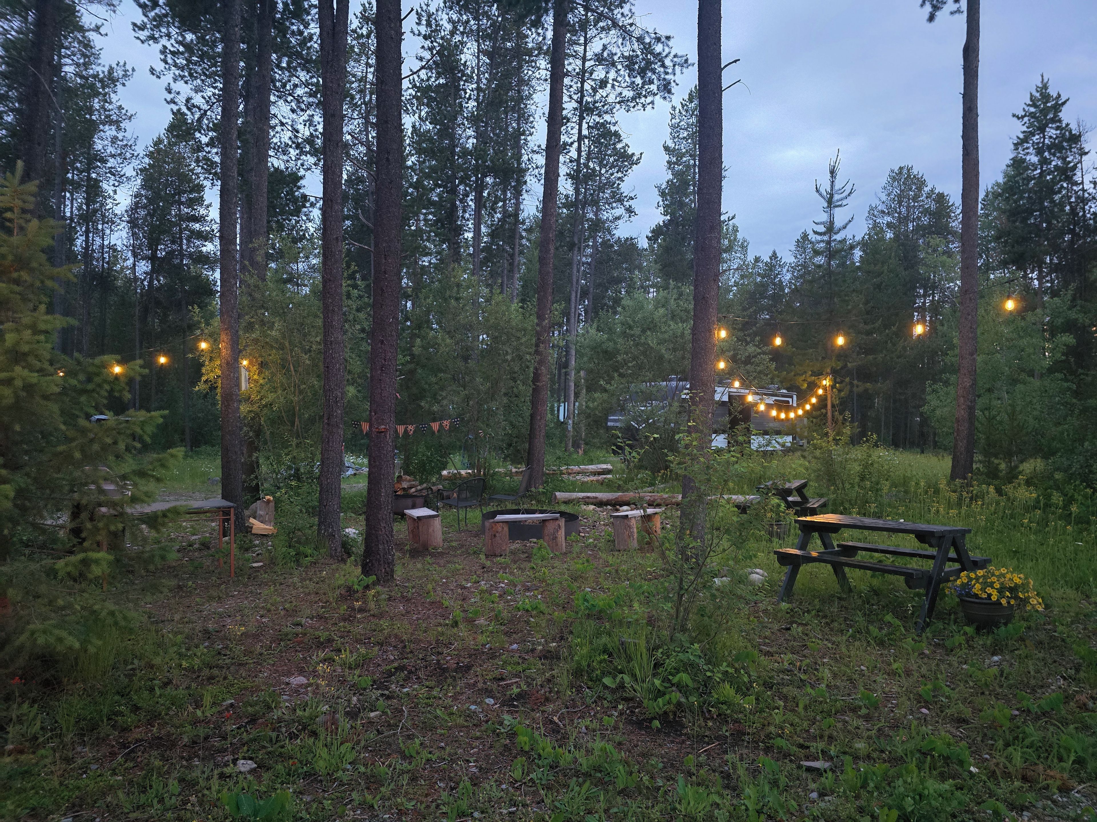 Une zone boisée équipée de tables de pique-nique et illuminée de guirlandes lumineuses.