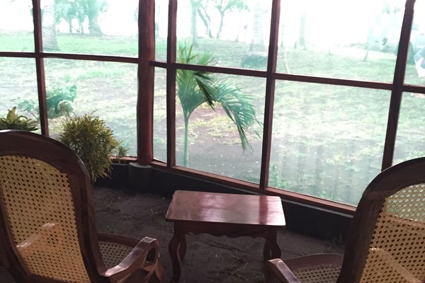 view from the screened in porch