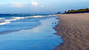 Plage, chaises longues, serviettes de plage