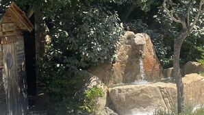 Una cabaña de madera rústica con un sendero de piedra que conduce a una cascada.