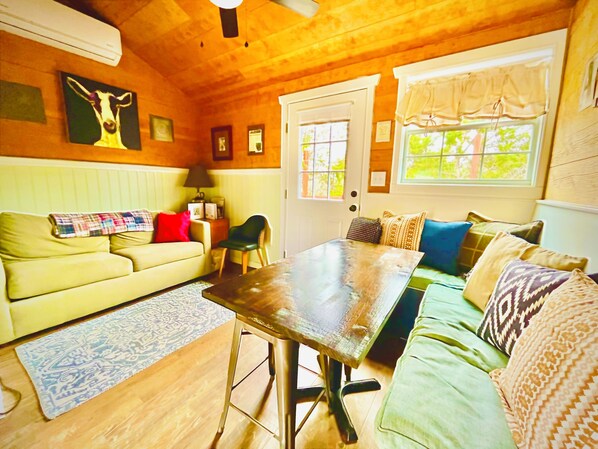 TV, fireplace, books