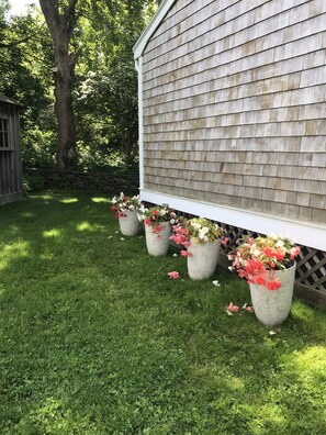 Property grounds - Cozy Cottage 1.5 mi. To Third Beach.


 (Middletown)