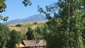 A house with a sloped roof, surrounded by trees and a grassy field, with mountains in the background. - Country Living in the City (Bozeman)