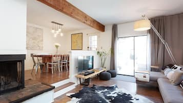 TV connectée, cheminée, livres, médiathèque