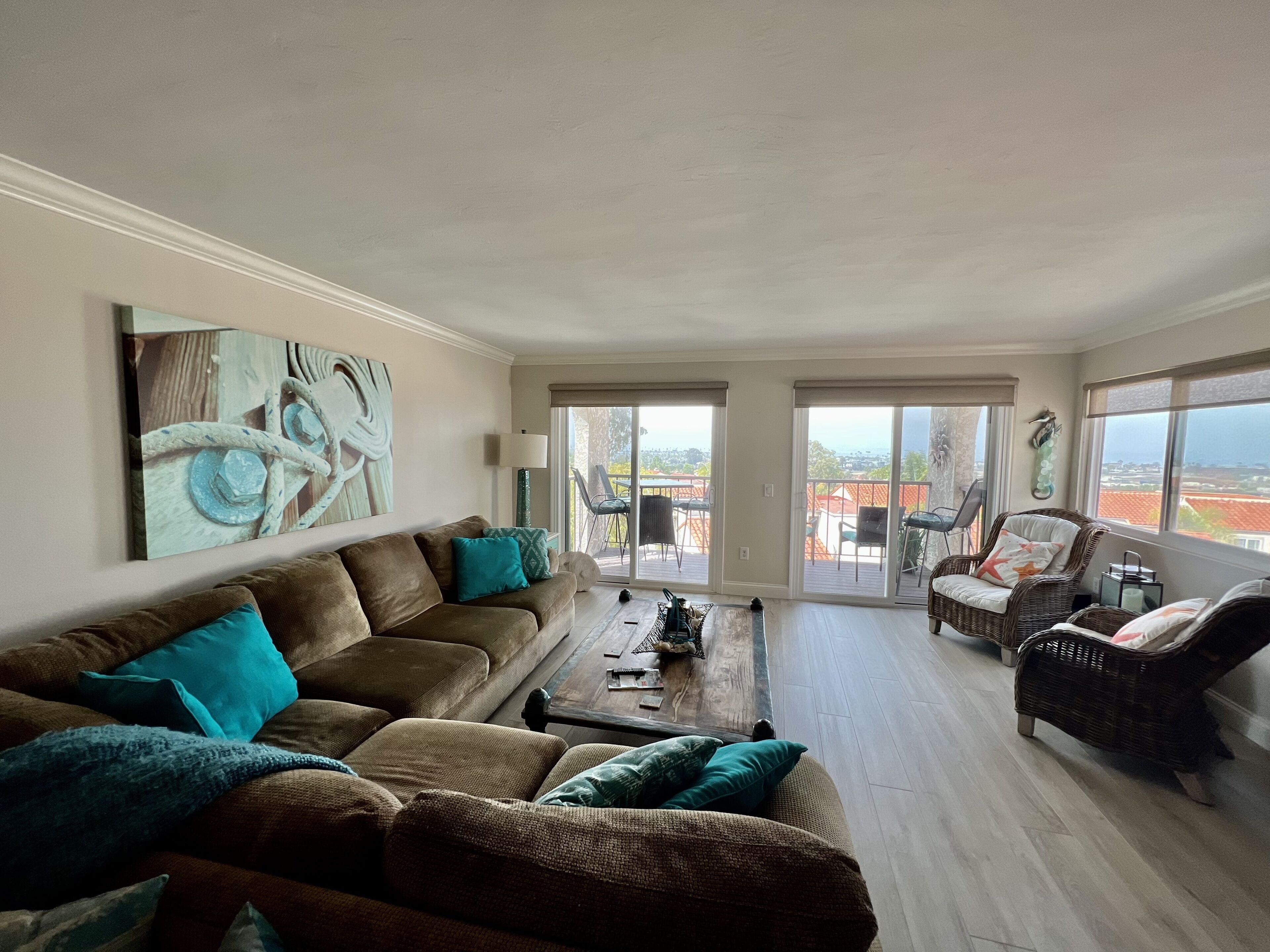 智能電視、DVD 播放機