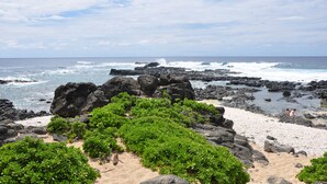 A rocky beach with green vegetation and waves crashing against the shore.