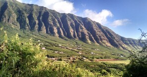 Un paysage montagneux parsemé de maisons et de verdure.