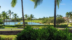 A view of a golf course with a pond, surrounded by palm trees and lush greenery. - Hilton Waikoloa Pool Pass for stays in 2026/Waikoloa Golf Discounts (Waikoloa Beach Resort)