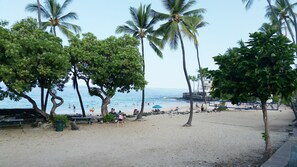 A beach with palm trees, people swimming, and a building in the background. - Newly renovated ocean View Two Bedroom, Two Bath Condo, Center of Kailua Kona (Kailua-Kona)