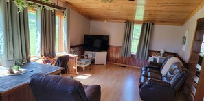 Télévision, cheminée, lecteur de DVD, vidéothèque