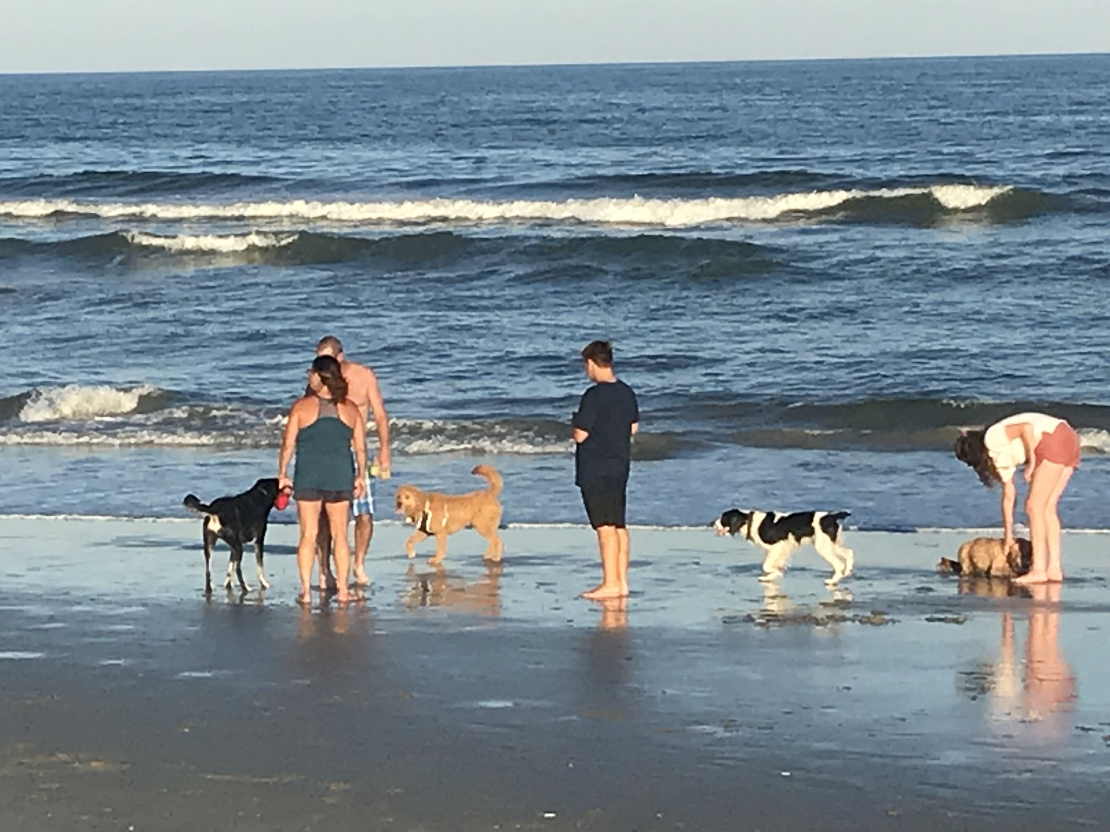 Beach nearby, sun-loungers