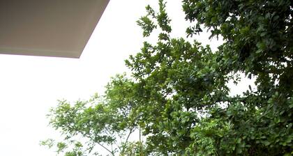 CRT Villa Mariposa - Nouvelle maison dans la forĂȘt tropicale