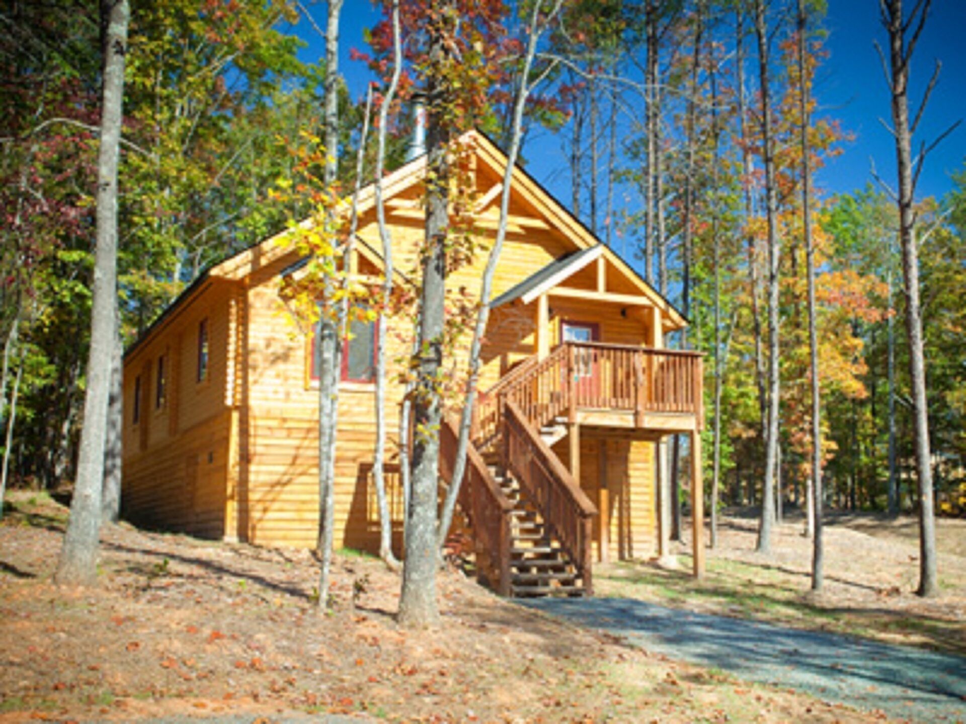 Cabin