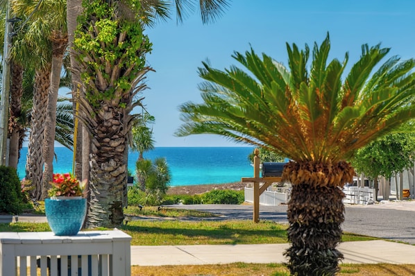 A coastal view with palm trees, a clear sky, and the ocean in the background.