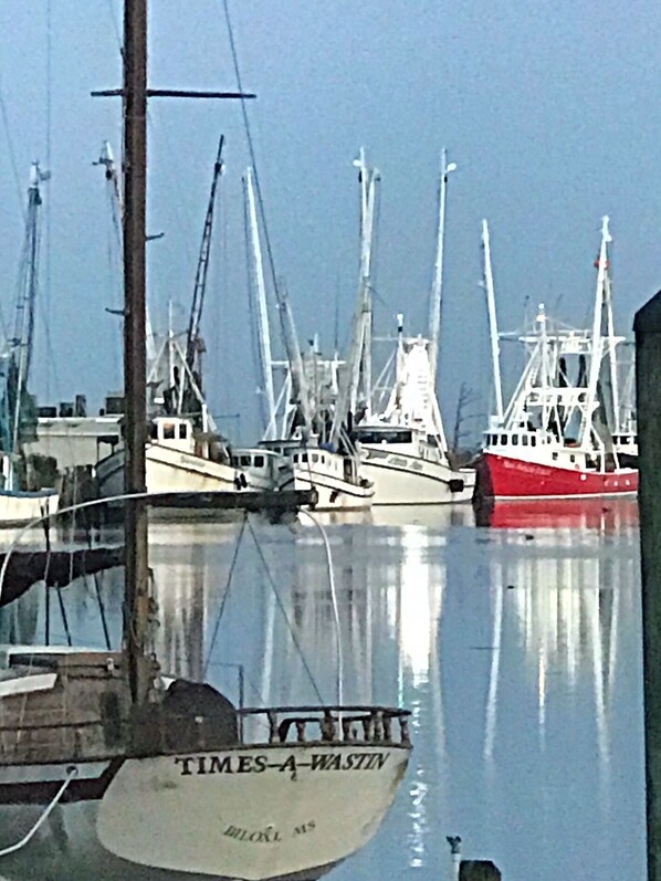Marina