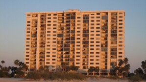 A high-rise hotel with multiple floors and balconies, situated on a sandy beach with palm trees in the foreground. - Beachfront Gulf View Retreat on Sand Key Beach (Clearwater)