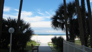 A pathway lined with palm trees leading to a beach. - Beachfront Gulf View Retreat on Sand Key Beach (Clearwater)