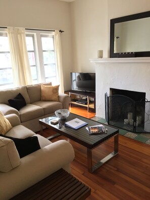 Smart TV, chimenea y reproductor de DVD 