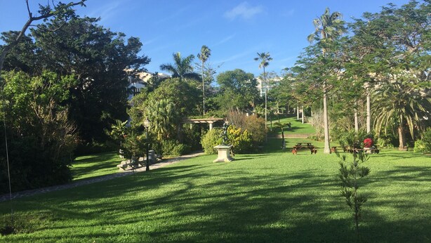 Ein gepflegter Garten mit verschiedenen Bäumen und Sträuchern, einem gepflasterten Weg und mehreren Picknicktischen.