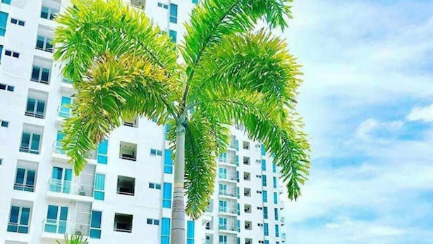 A swimming pool with palm trees and a high-rise building in the background. - Mactan Newtown by Javadrea (Lapu-Lapu)