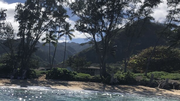 A beachfront property with clear water, palm trees, and a mountain backdrop. - House of the Rising Sun (Laie)