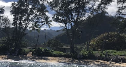 House of the Rising Sun