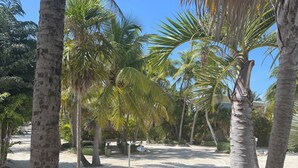 A tropical outdoor area with palm trees and various plants. - Coral Cove Resort - ‘A Fisherman’s Dream’ (Islamorada)