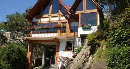 Villa los Cuatro Manguitos for 20 guests 5 min away from lake & downtown