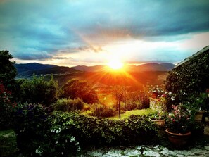 Property grounds - Casella- under the tuscan sun  (Preggio)