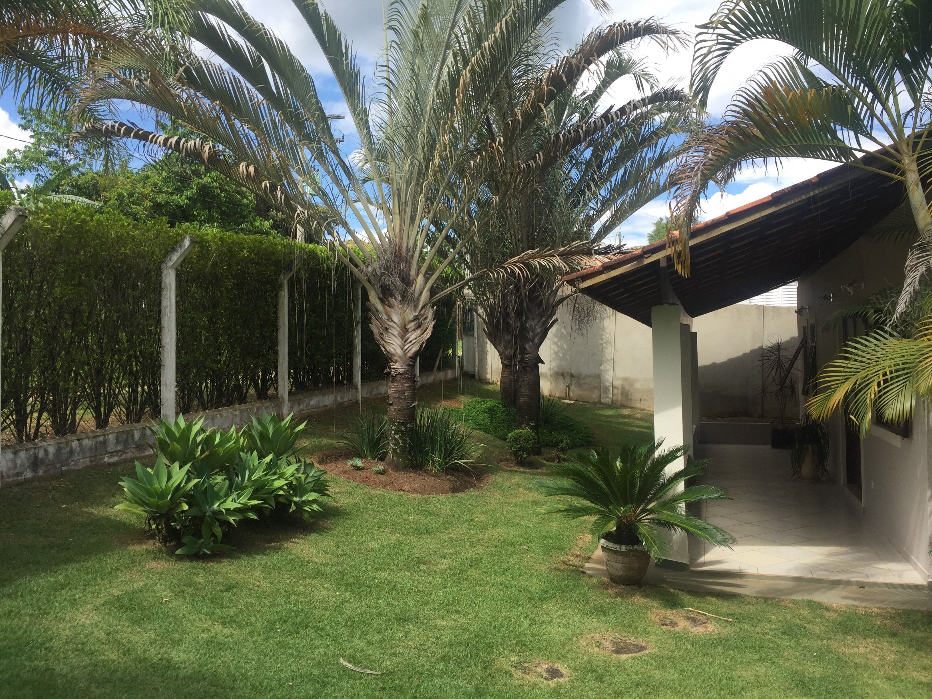 Un giardino curato con palme, un prato e un edificio con tetto in tegole.