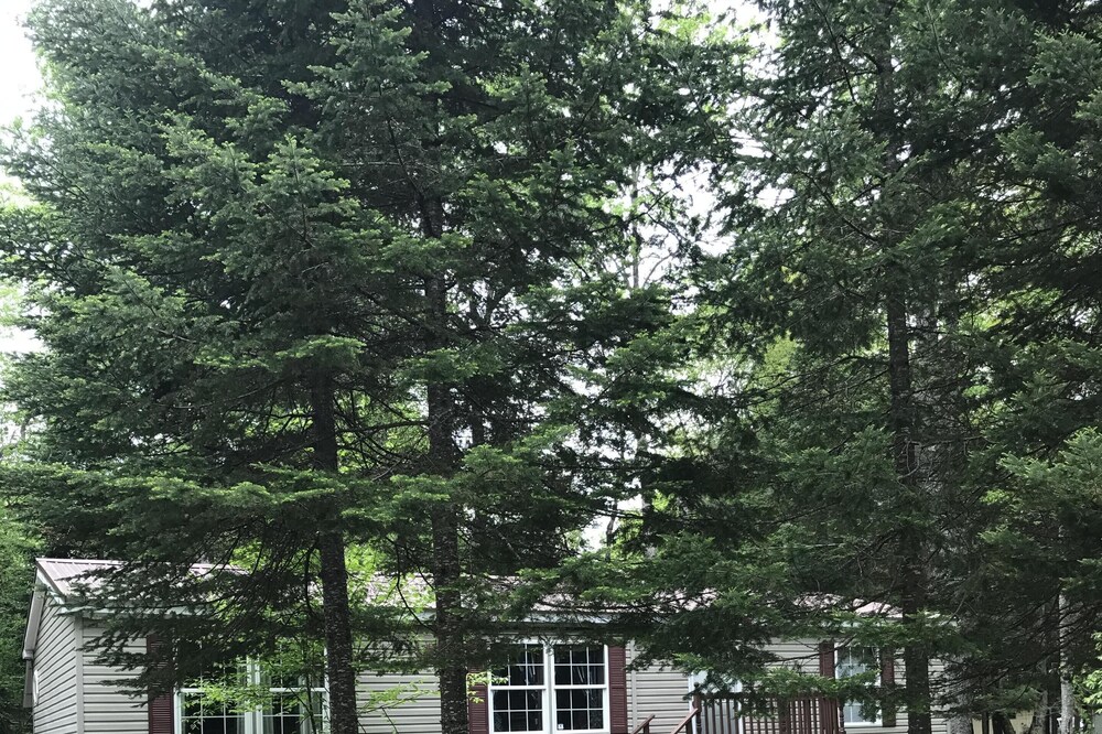 Modern Modular ADK Camp