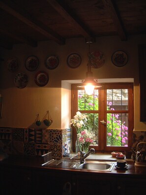 Fridge, microwave, oven, stovetop - KYRIA FLORENCE BEAUTIFUL ARTISTS HOUSE, SKOPELOS MAMAMIA ISLAND VERY QUIET. (SKOPELOS)