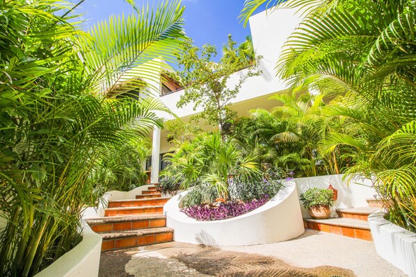Stroll through a serene garden oasis with lush plants and palm trees, surrounded by clean lines and modern architecture.
