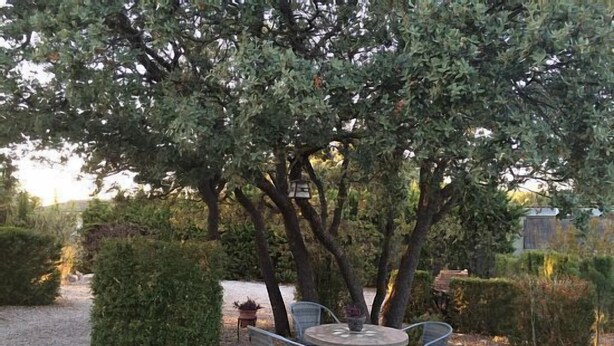 An outdoor seating area with a stone table and metal chairs, surrounded by trees and shrubs. - Self catering La Roureda for 9 people (Àger)