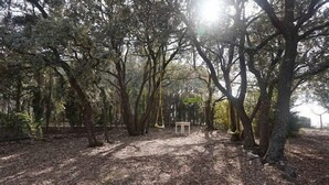 A forested area with a bench and a swing. - Self catering La Roureda for 9 people (Àger)