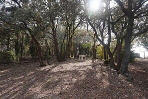 Terrein van de accommodatie