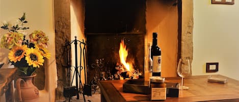 Flachbildfernseher, Kamin, Bücher