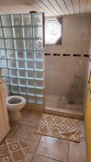 Shower, hair dryer, towels, soap