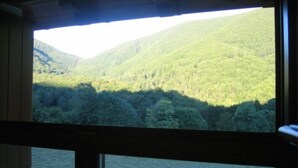 A view from a window overlooking a forested valley with a mountain in the background.
