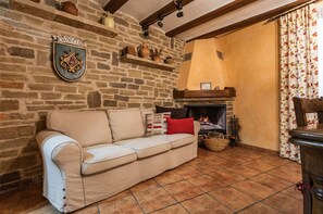 TV, fireplace, DVD player, books