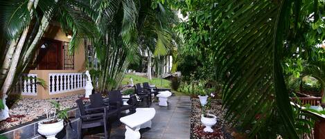 Terraza o patio