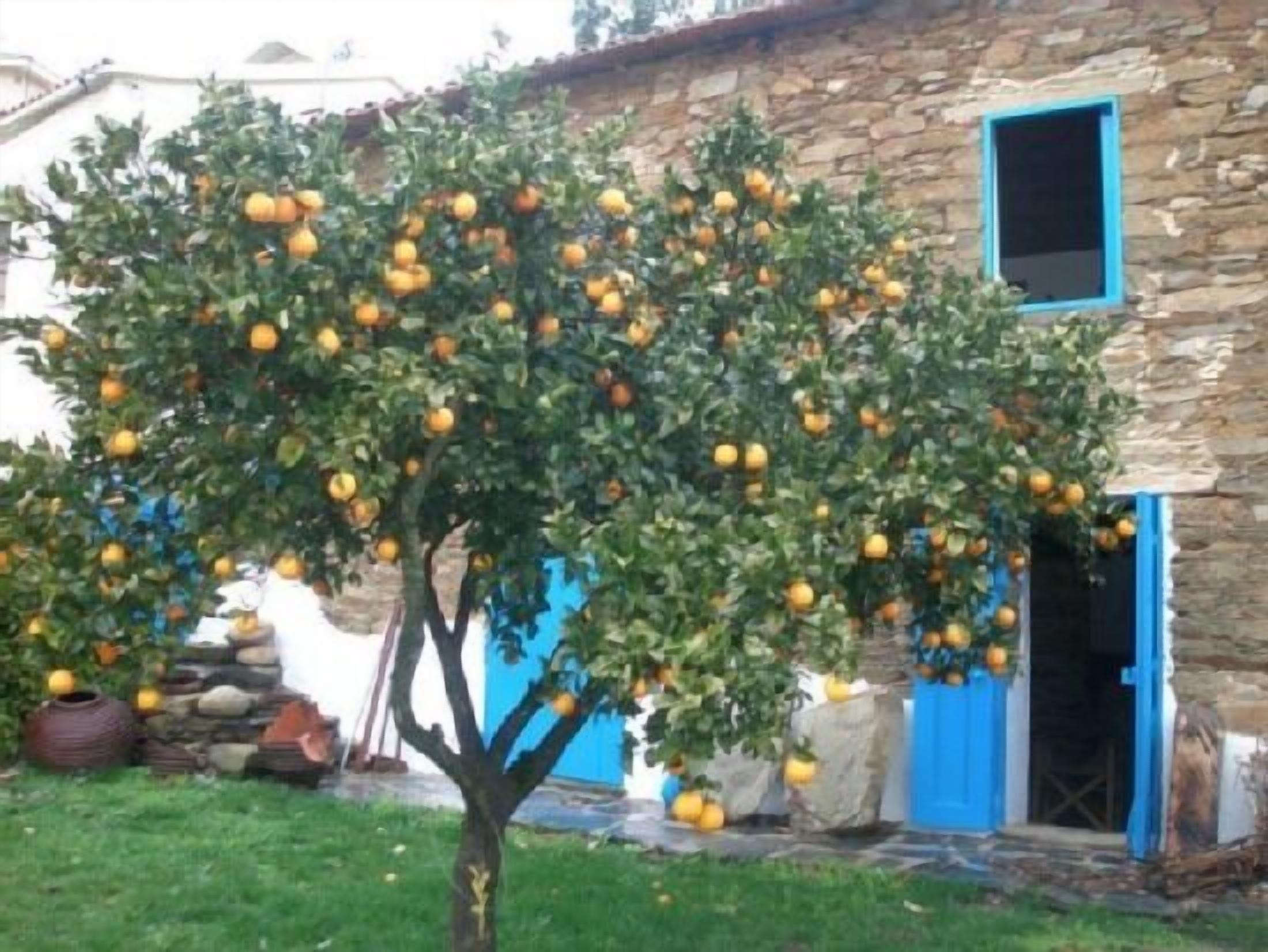 Country house 2 rooms.Self catering Refúgio da Estrela for 4 people