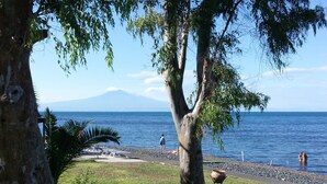 Una playa con vista a una montaña, un árbol y una maceta sobre un soporte.