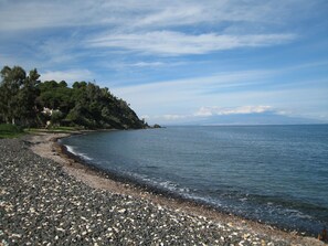 Nära stranden