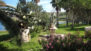 Un jardín con cactus, flores y una estatua.