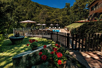 House in the middle of nature with pool and garden.  Pet friendly!