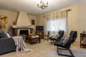 TV, fireplace, books