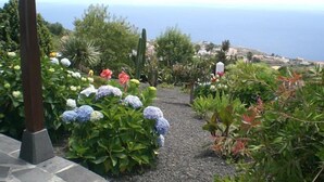 Un sentier de jardin, bordé de différentes plantes et fleurs, mène à un point de vue panoramique sur l’océan.