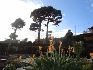 Property grounds - Self catering Tres Pinos, Lina Medina y Anastasio for 6 people (Villa de Mazo)